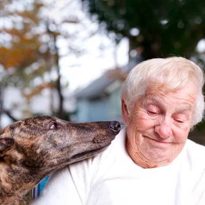 galgos para personas mayores